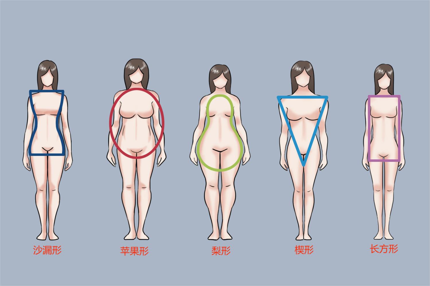5种肥胖体型图