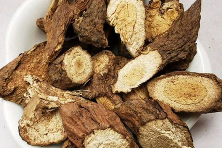 中草药马莲鞍图