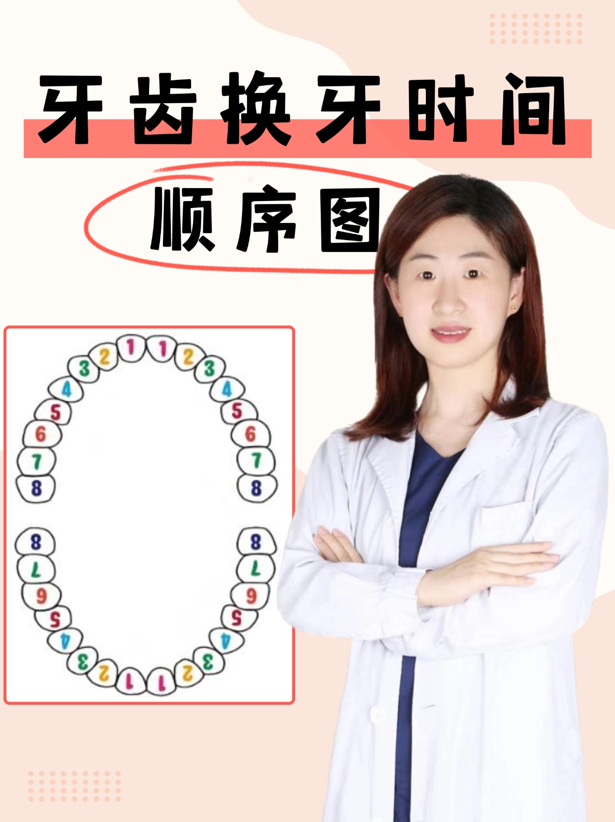 牙齿换牙时间顺序图