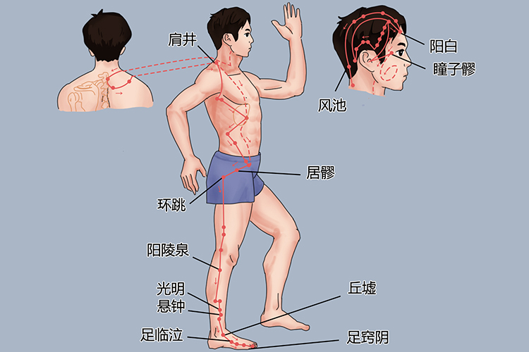 足少阳胆经位置图 足少阳胆经位置图