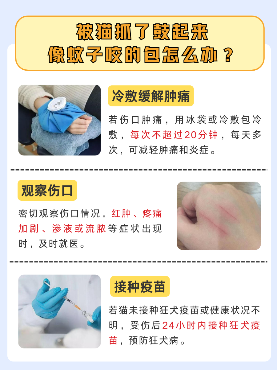 被猫抓伤，皮肤为何出现‘蚊子包’奇观？