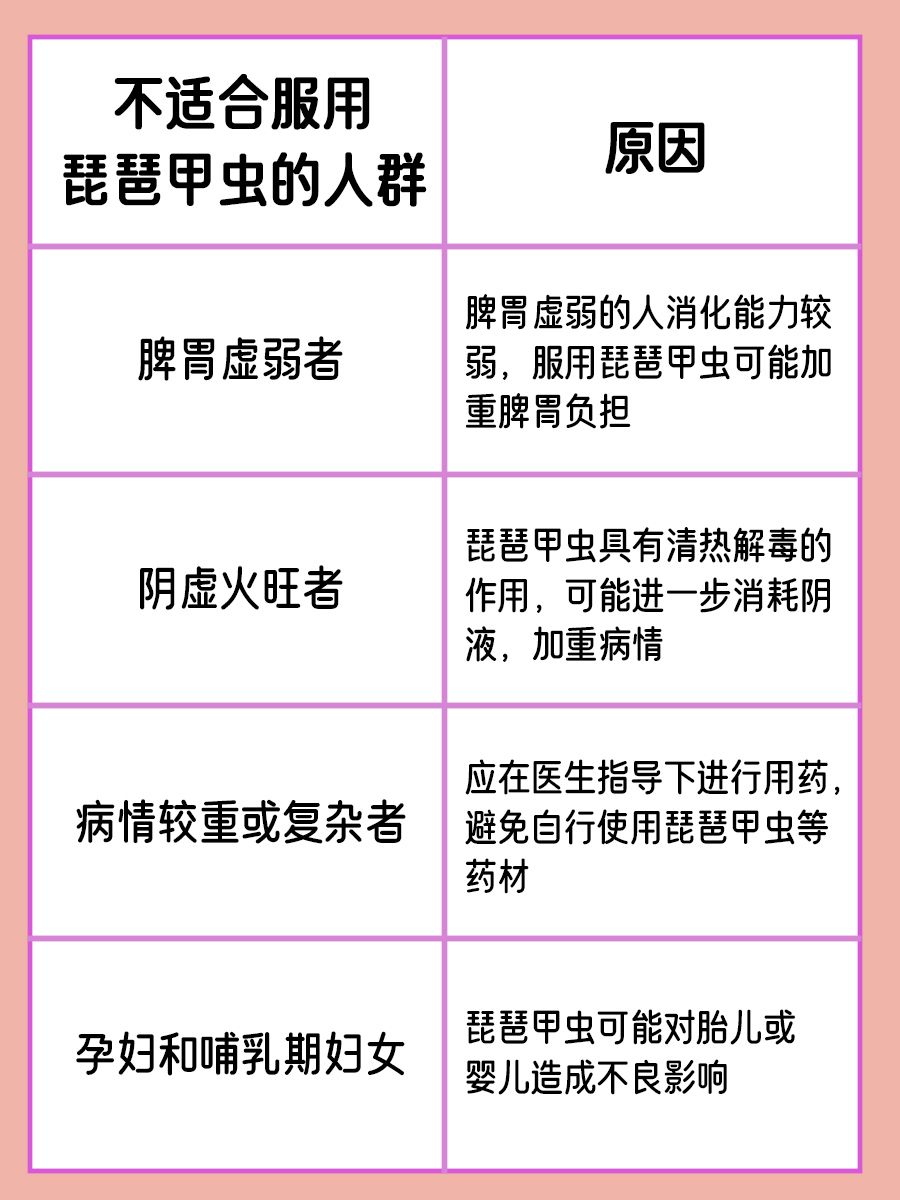 琵琶甲虫：揭秘其不为人知的健康功效！