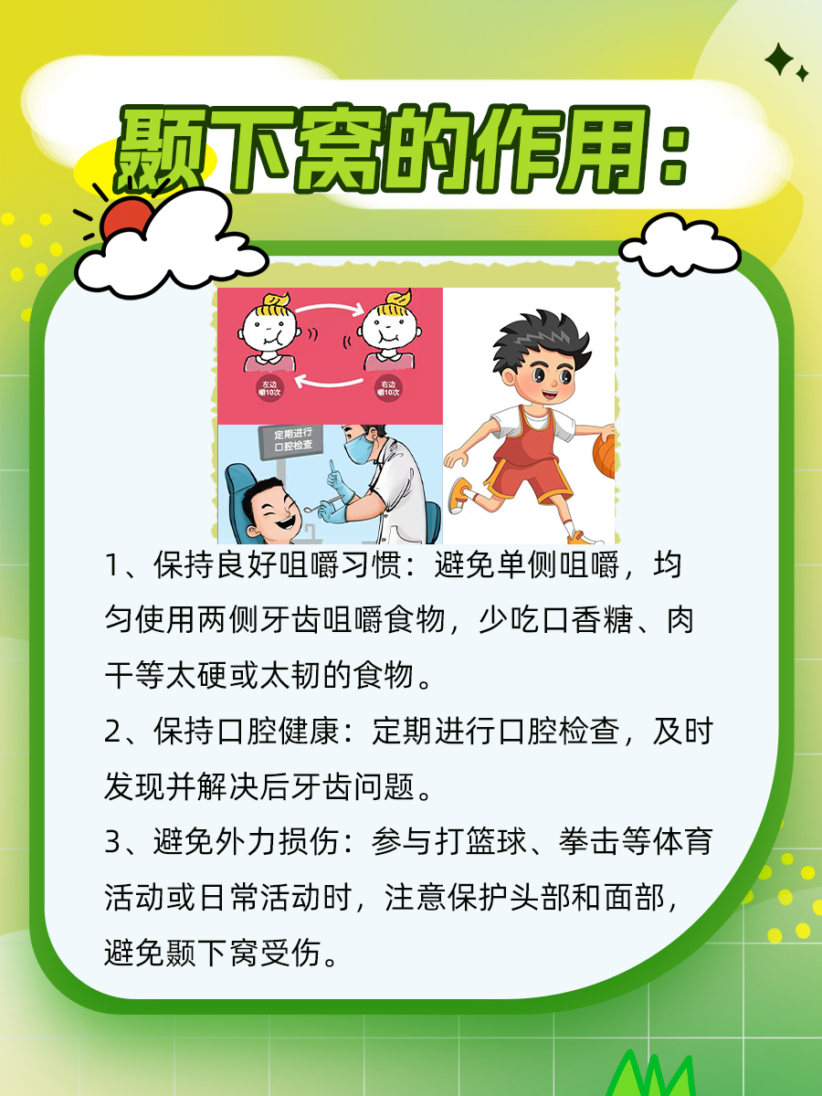 颞下窝究竟有何作用？一起来了解吧！