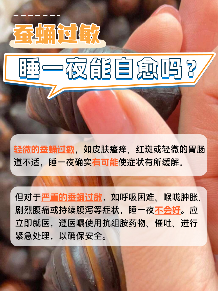 过敏警报！蚕蛹后睡一夜能否脱敏？