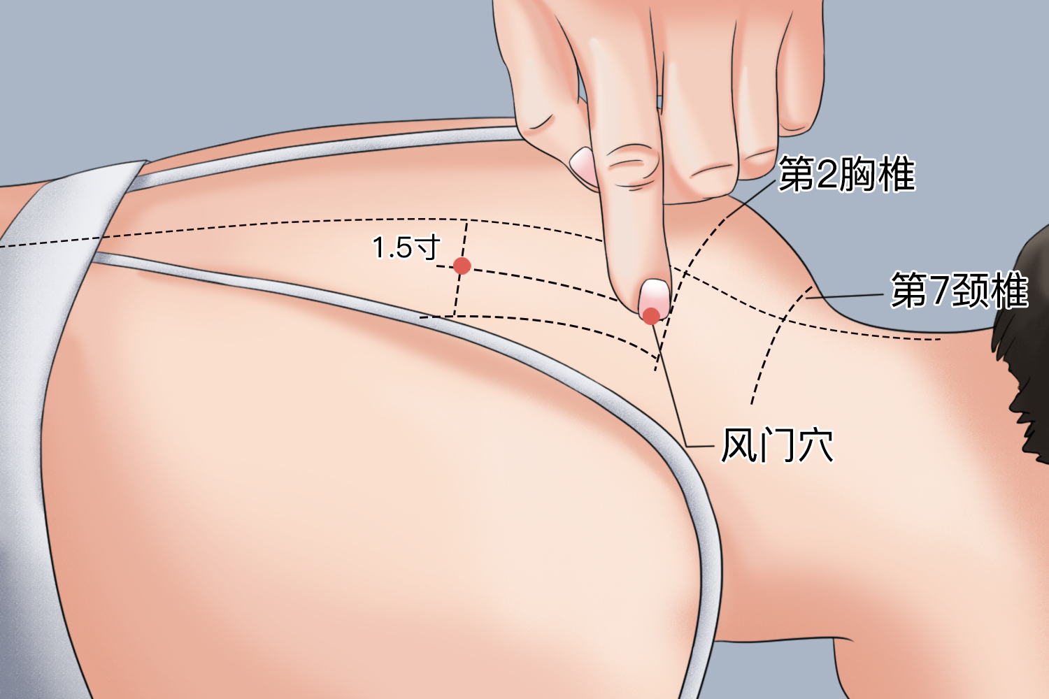 风门穴位置图