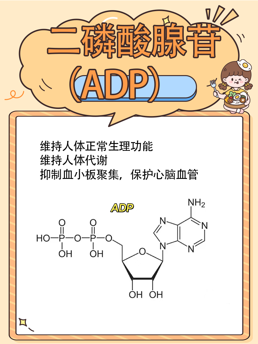 二磷酸腺苷，你了解多少？