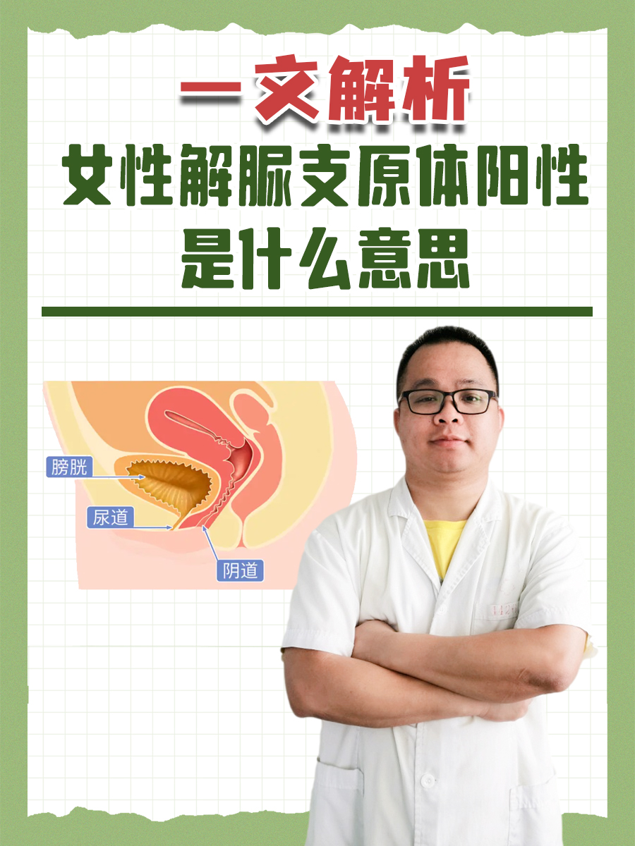 一文解析，女性解脲支原体阳性是什么意思