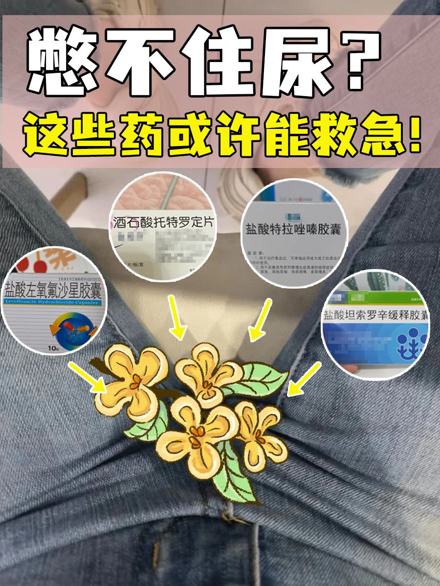 憋不住尿?这些药或许能救急!