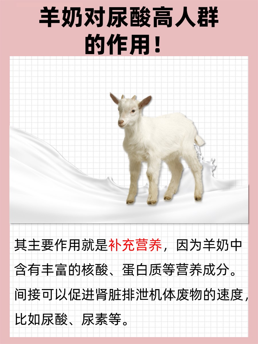 羊奶对尿酸高有什么作用？一文解析
