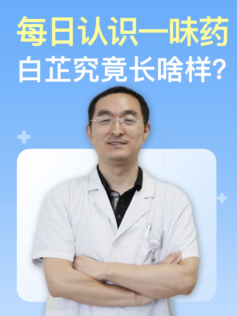 每日认识一味药：白芷究竟长啥样？