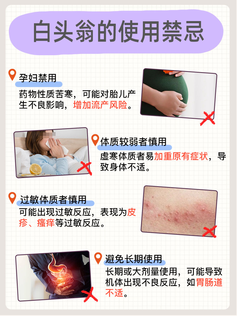 草药白头翁，功效作用与禁忌一次全讲清