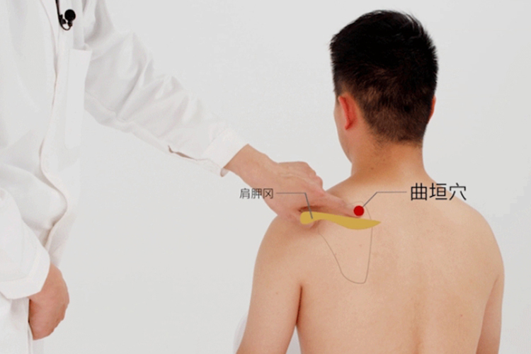 曲垣穴位置图