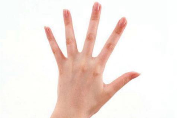 正常大拇指图 正常大拇指图