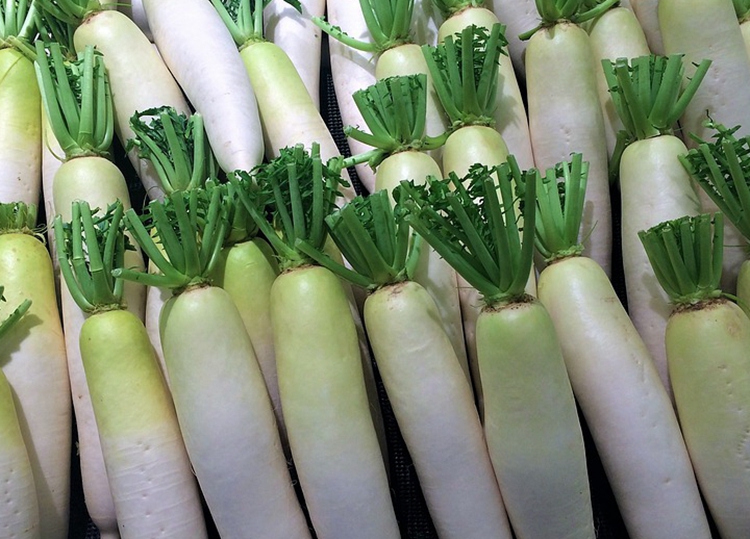 白萝卜.jpg