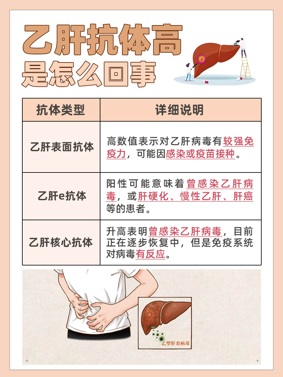 乙肝抗体异常升高探讨:这究竟是怎么回事