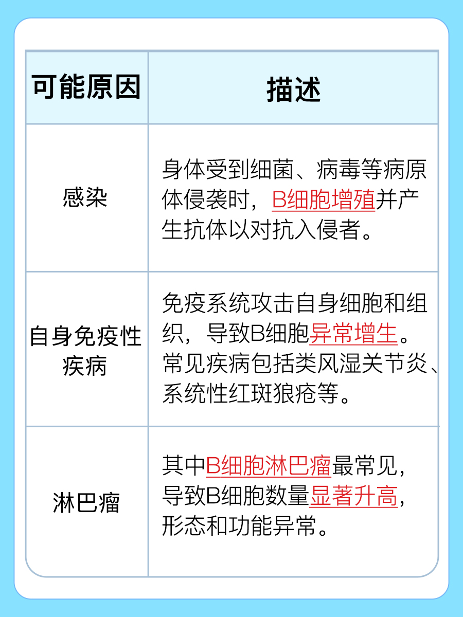 B细胞高代表什么病？一文说清楚！