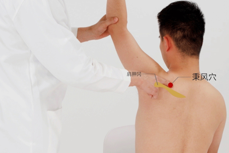 秉风穴位置图