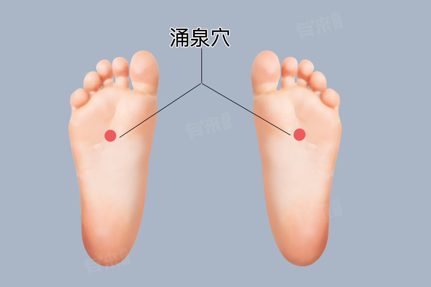 什么是涌泉穴-有来医生
