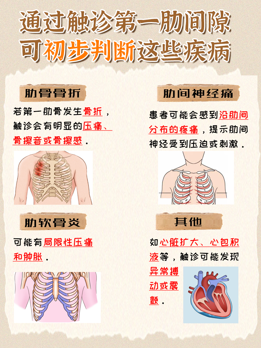 涨知识！第一肋间隙是哪两根肋骨