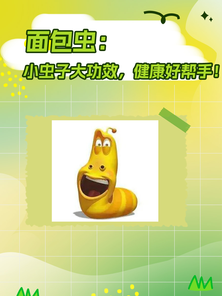 面包虫:小虫子大功效,健康好帮手!