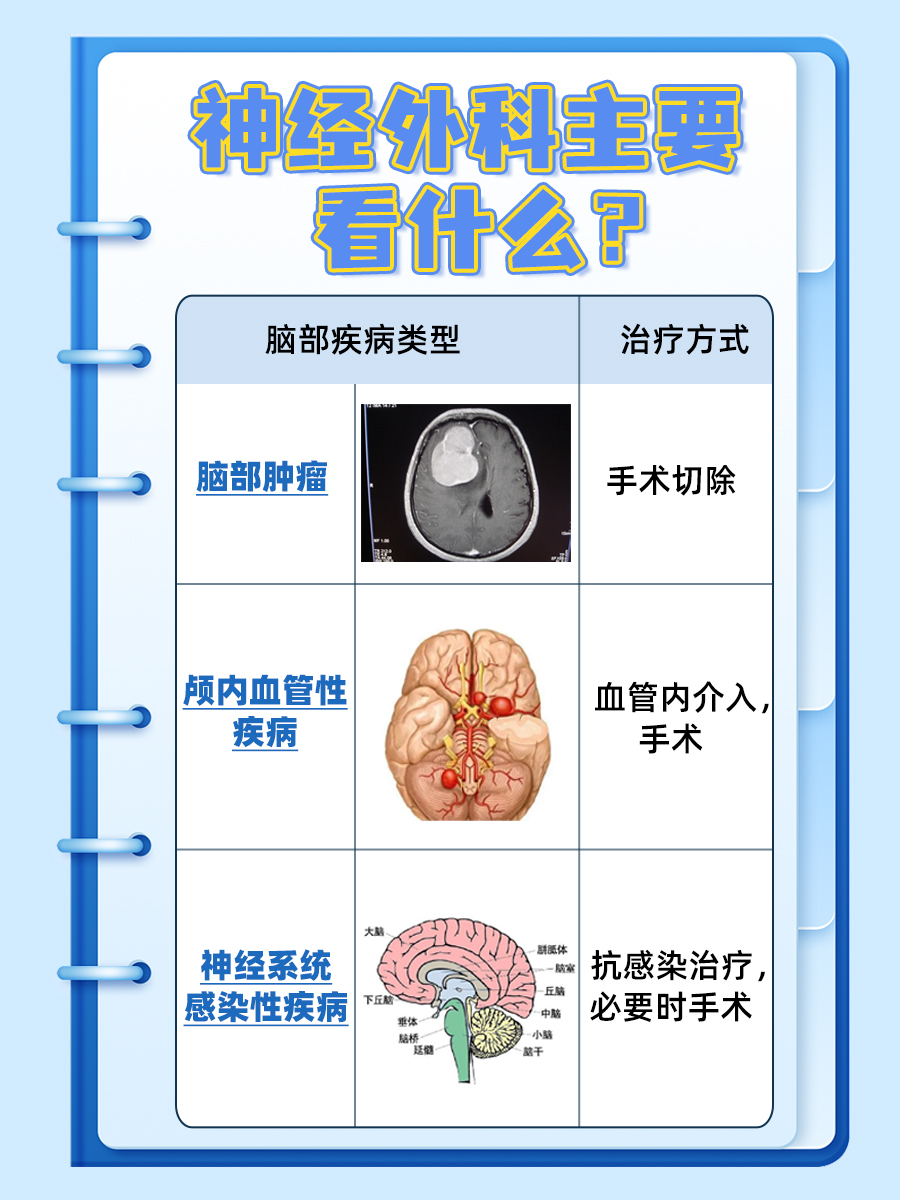 大脑与神经的守护者:探究神经外科