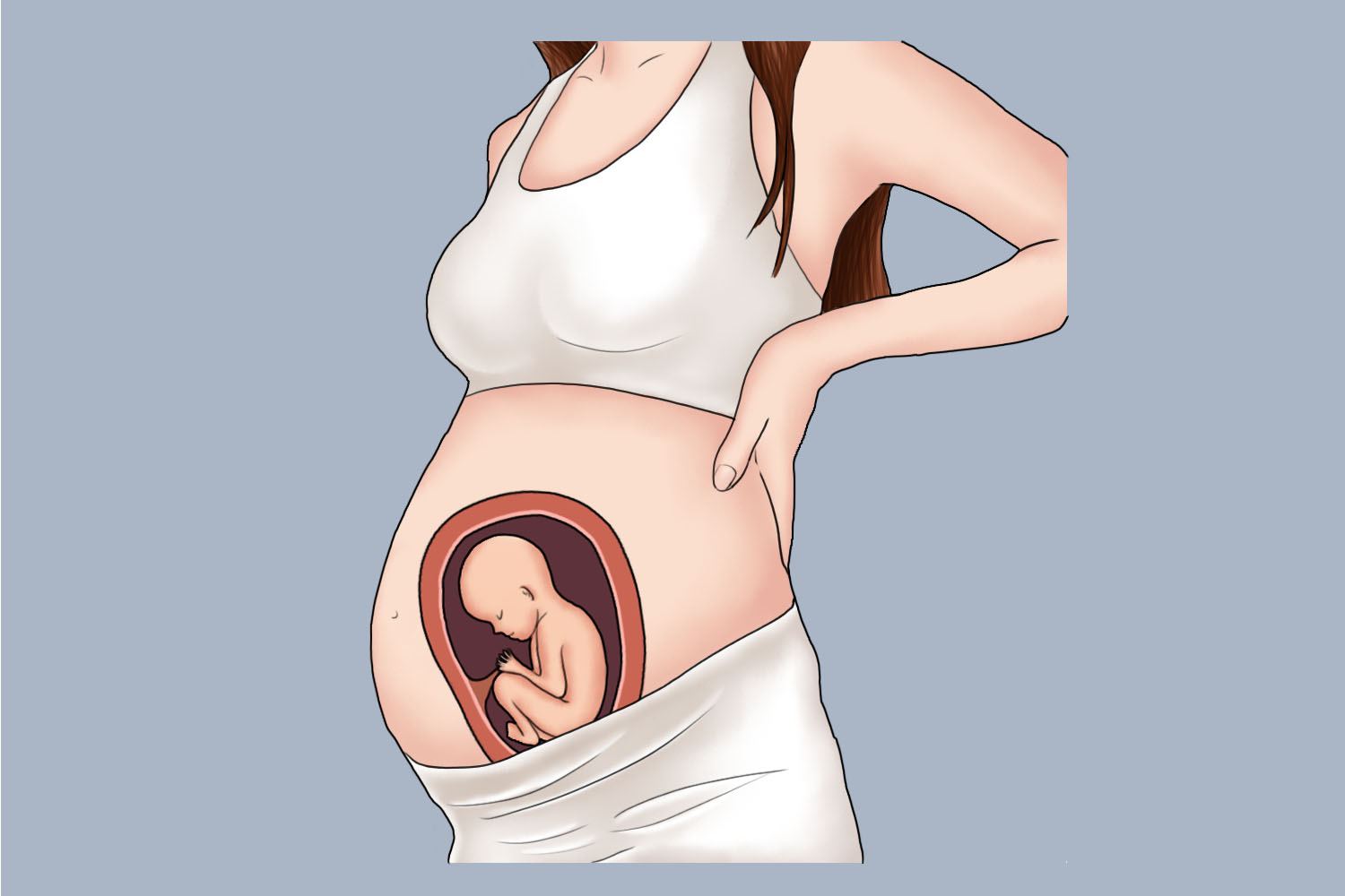 孕24周子宫位置示意图