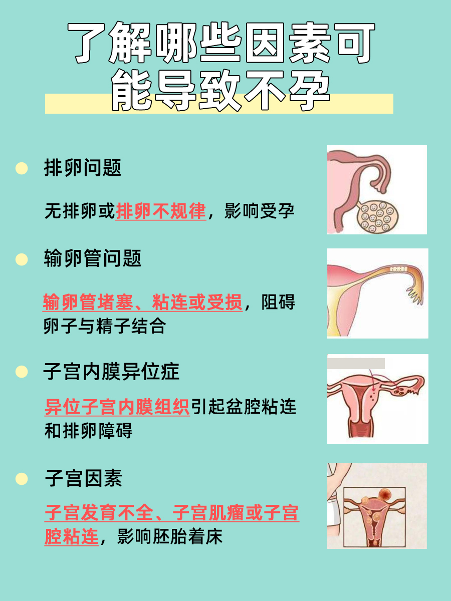 服用紧急避孕药,是否会引发不孕问题