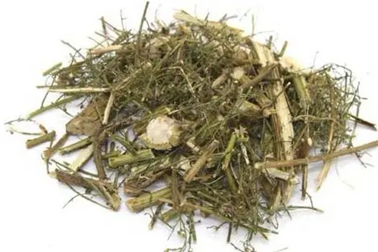 青蒿入药图