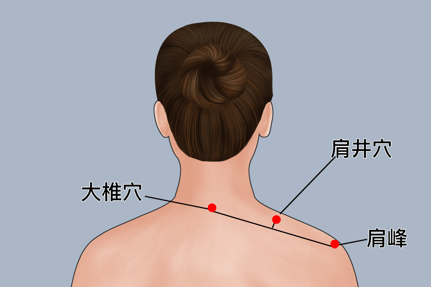 肩井在哪个位置图片图片