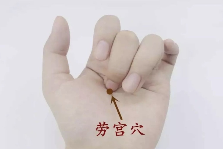 劳宫穴位置图