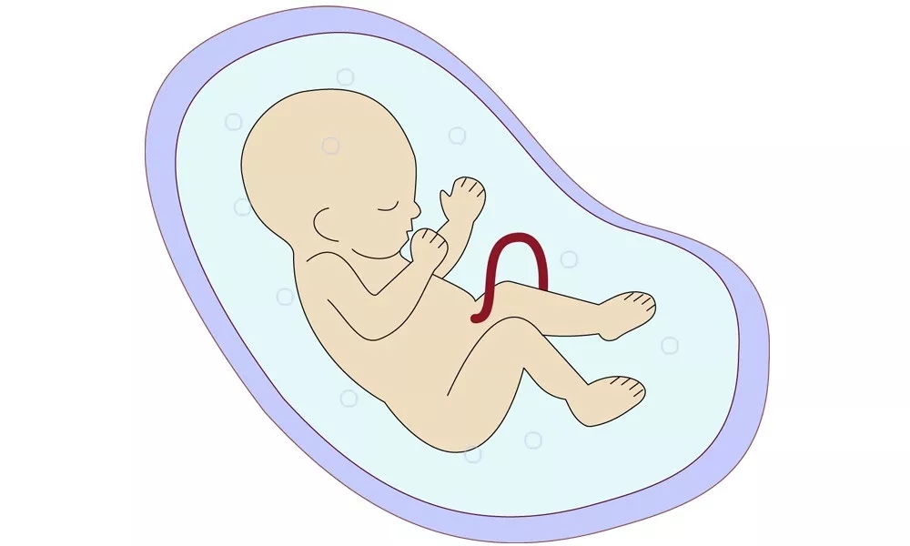 640.webp (9).jpg