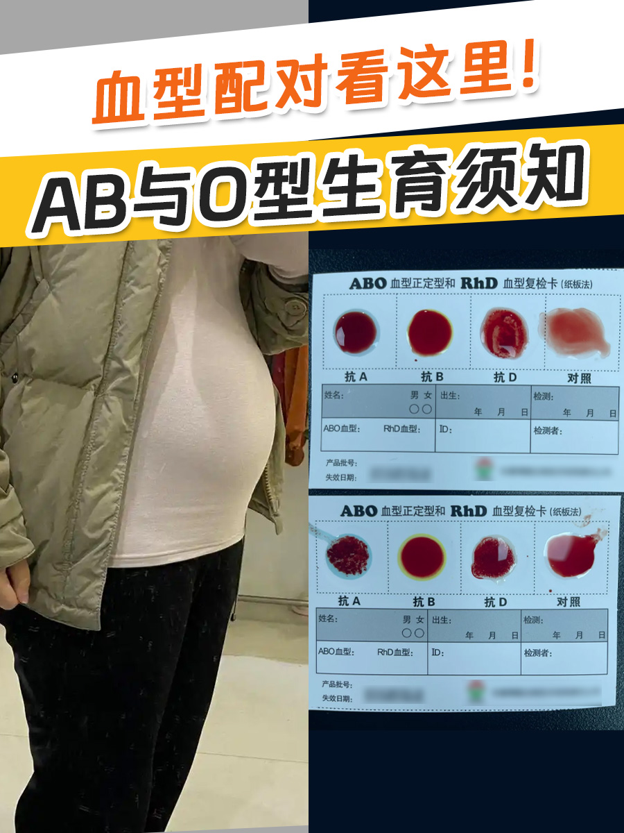血型配对看这里!AB与O型生育须知