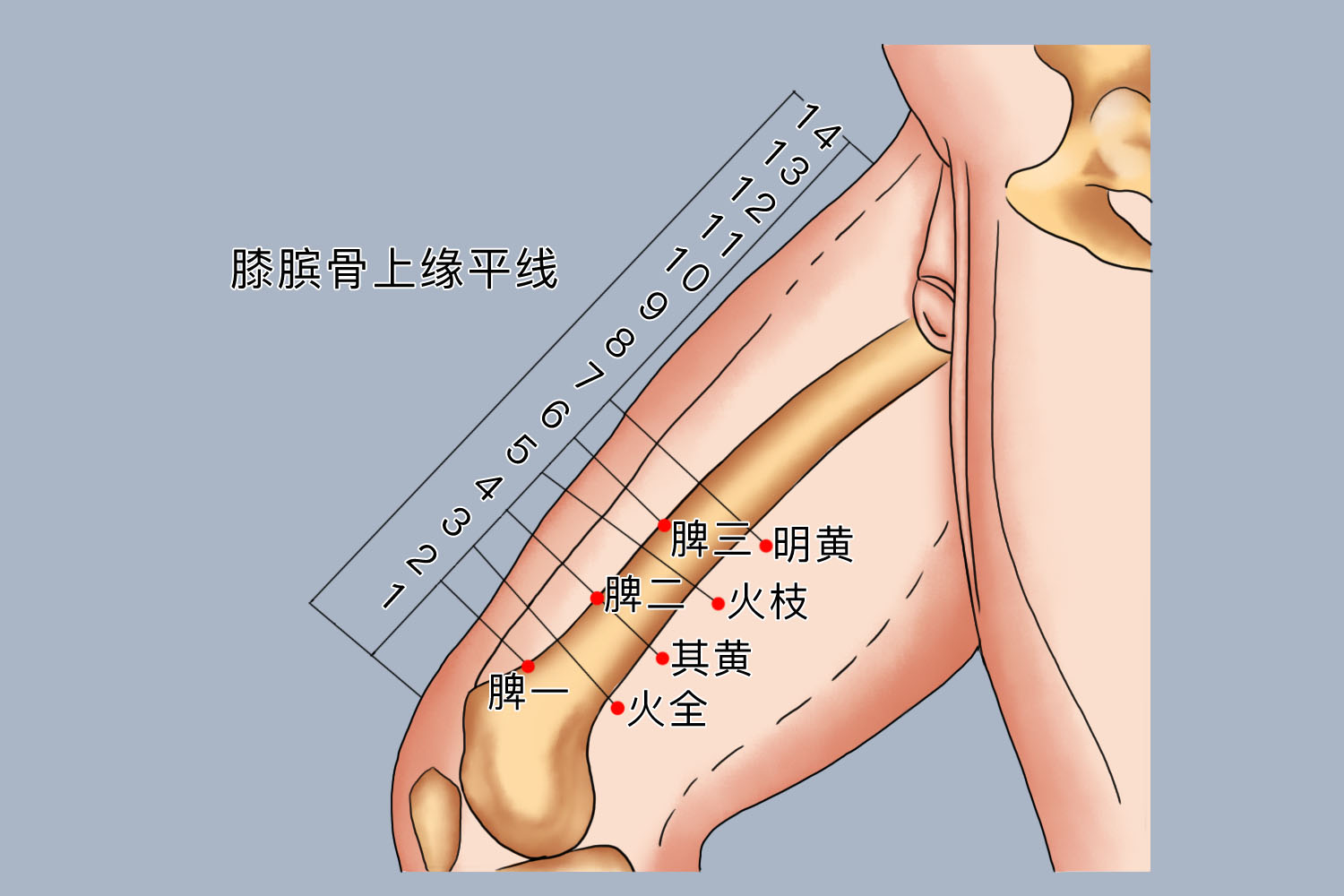 火枝火全的准确位置图