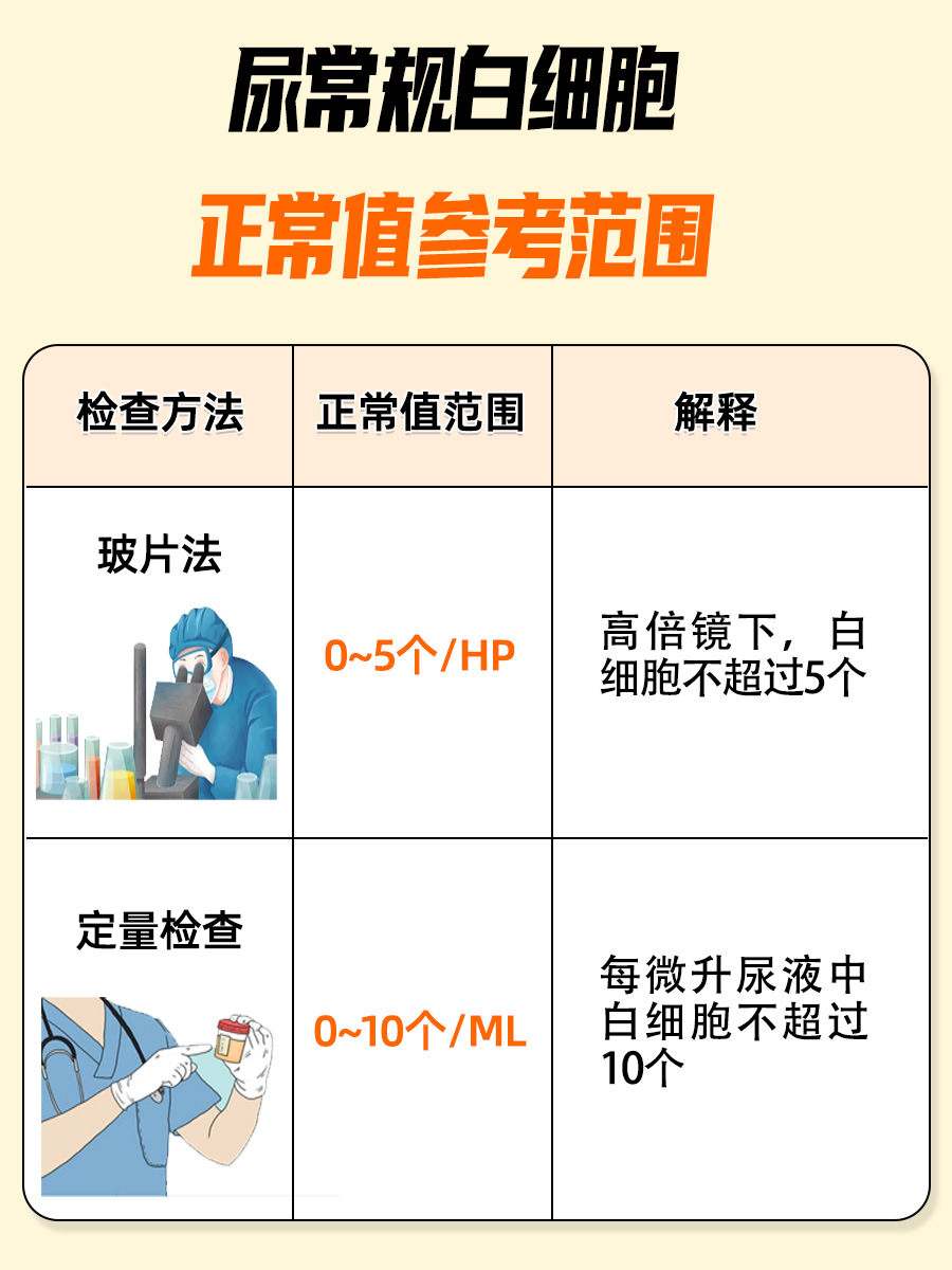 尿常规白细胞正常值：参考范围详解