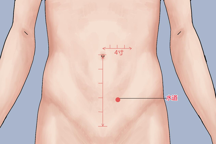 水道穴位置图 水道穴位置图