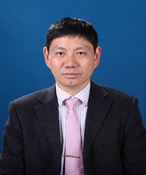 陈新龙
