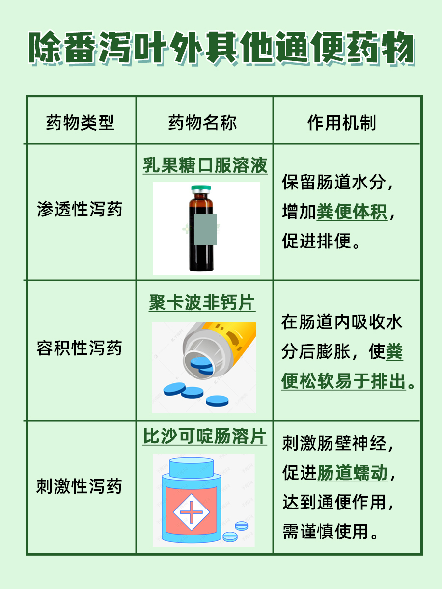 番泻叶泡水饮用指南：正确步骤