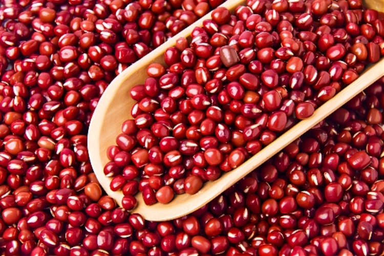 赤小豆图 赤小豆图