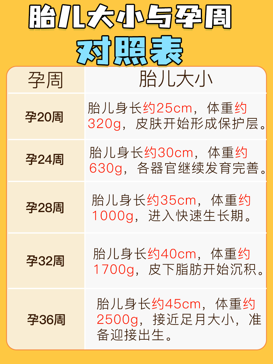 胎儿大小与孕周对照表-有来医生