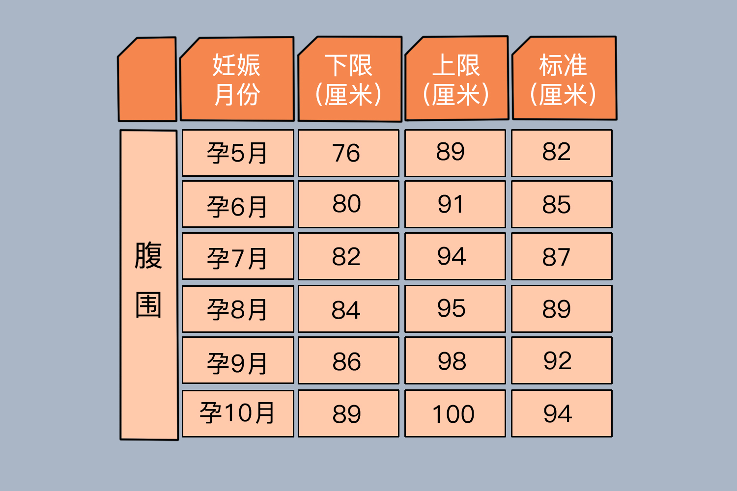 孕期腹围标准图