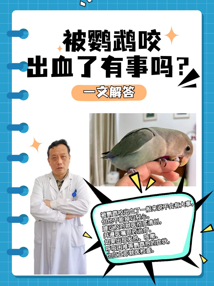 被鹦鹉咬出血了有事吗?一文解答!