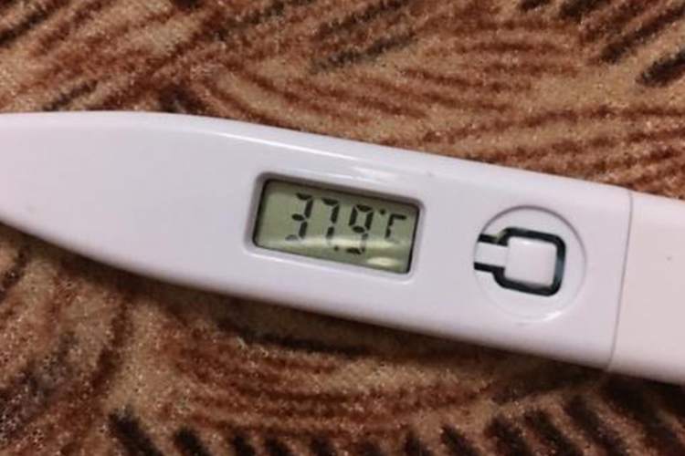 低烧电子体温计图 低烧电子体温计图