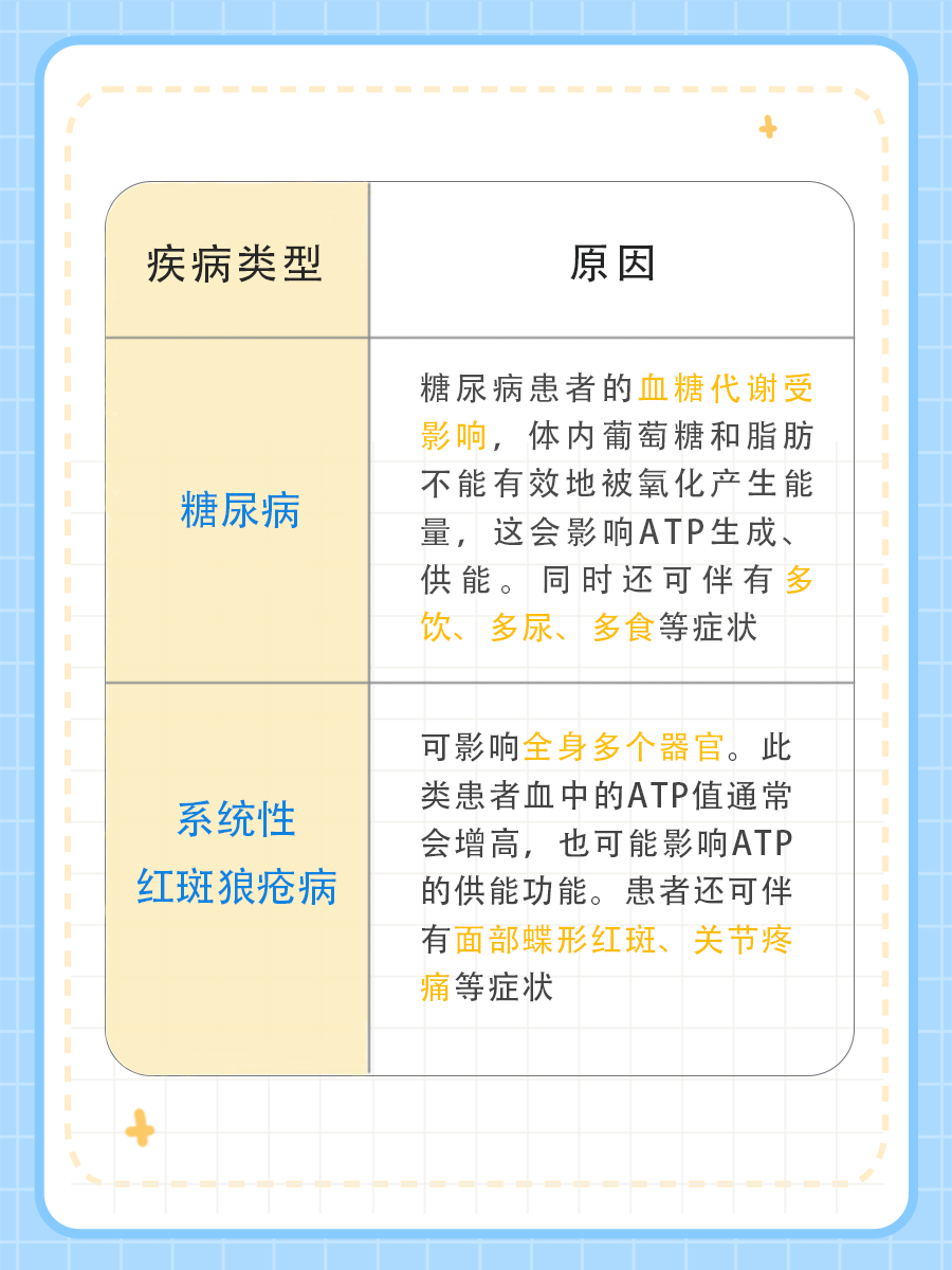 揭秘！ATP与能量供应的关系