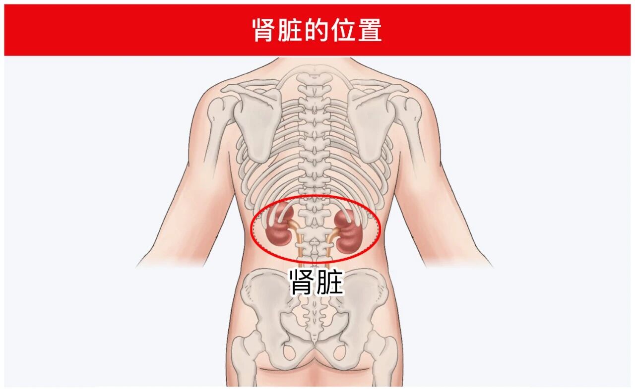 微信图片_2026-09-02_134454_691.jpg
