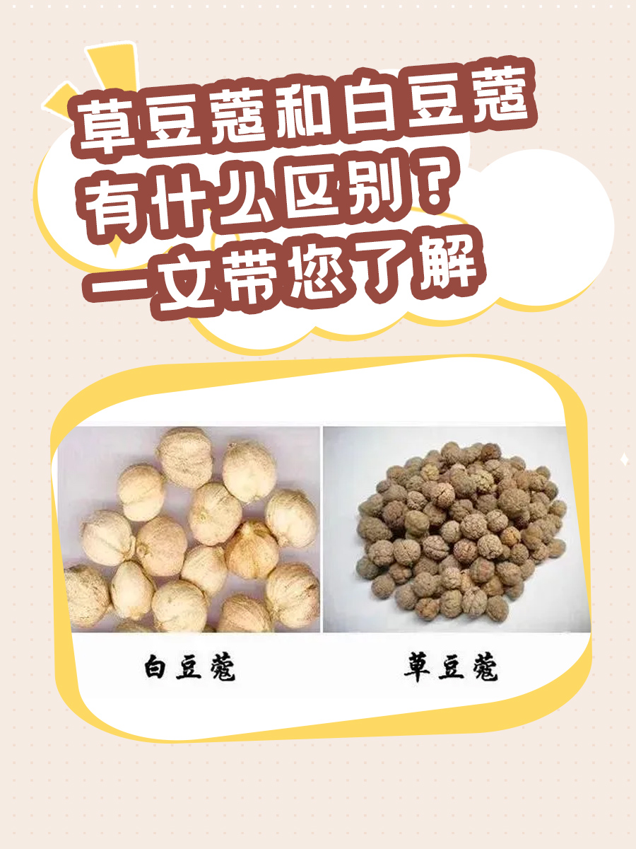 草豆蔻和白豆蔻有什么区别？一文带您了解