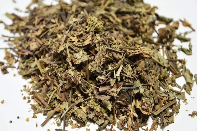 车前草药材图 车前草药材图