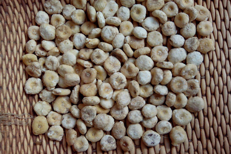 天南星药材图 天南星药材图