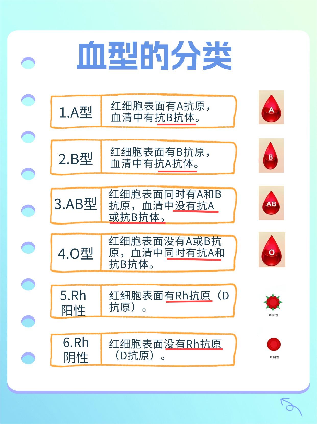 O型血可以输给AB型血的人吗？血型配对指南。