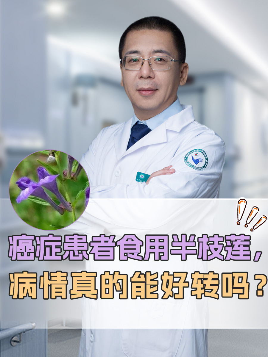 癌症患者食用半枝莲，病情真的能好转吗？