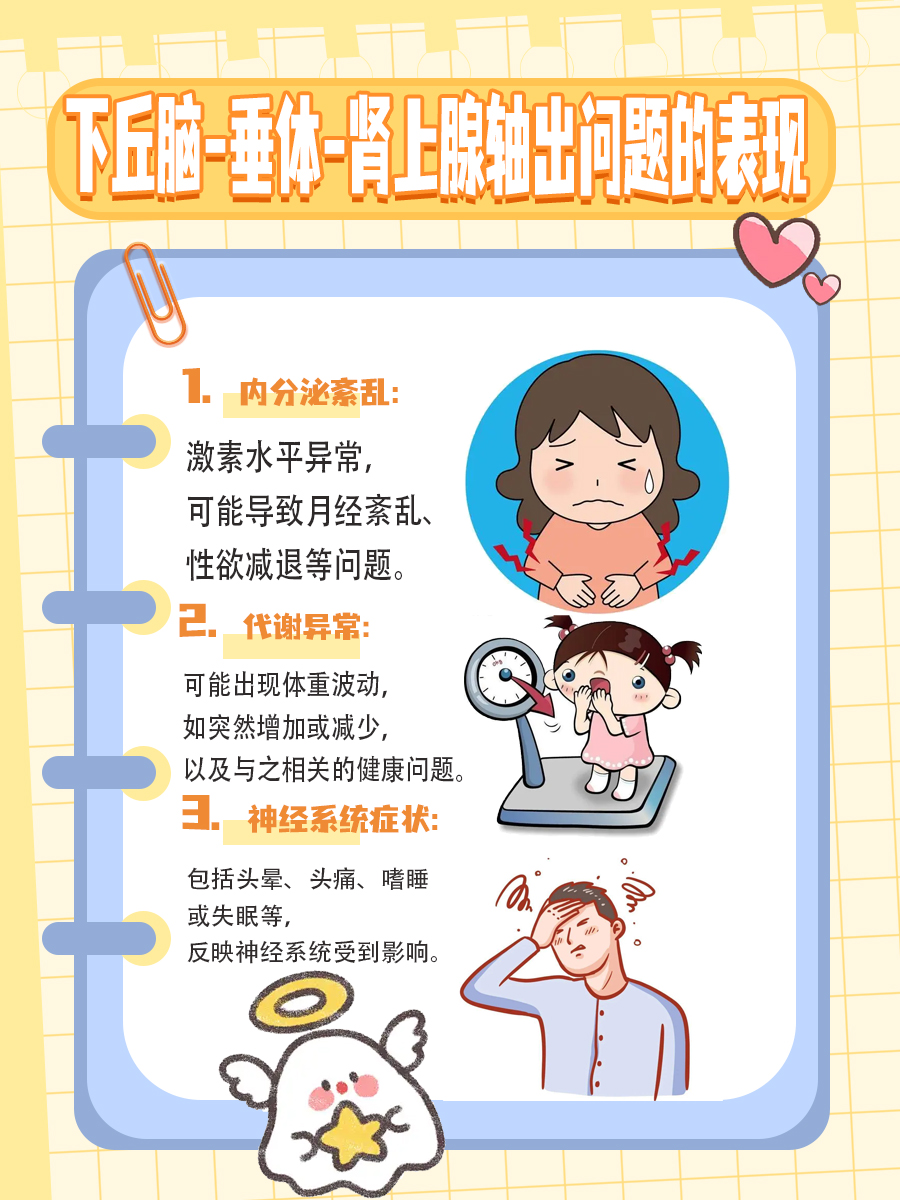 下丘脑垂体肾上腺轴是个啥？看完这篇就知道